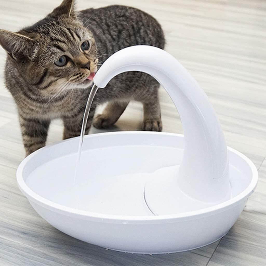 En katt dricker rent, filtrerat vatten från den tysta kattfontänen.