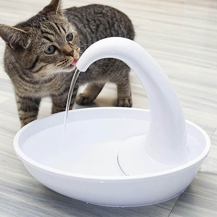 En katt dricker rent, filtrerat vatten från den tysta kattfontänen.