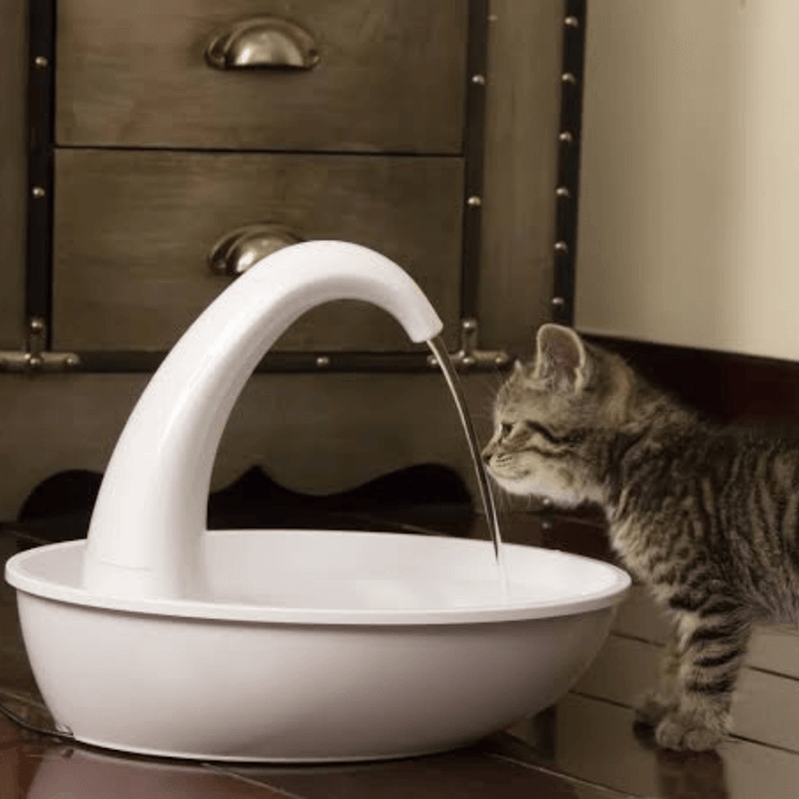Vattenflöde från modern kattfontän med effektivt filter för fräscht kattvatten.