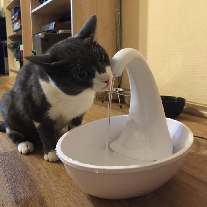 Tyst kattfontän som ger lugn och fräscht vatten, perfekt för kattens välbefinnande.