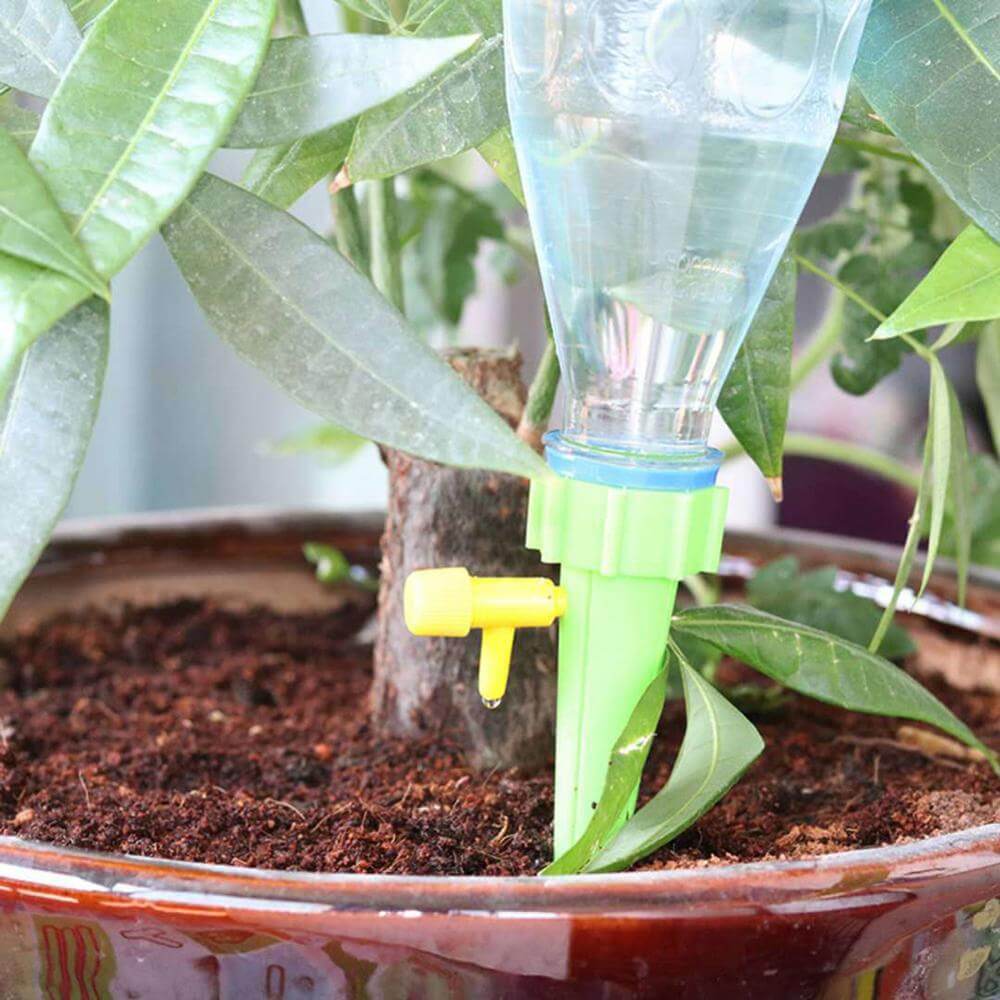 Självvattnande spik för växter, effektiv bevattning med återvunnen plastflaska.