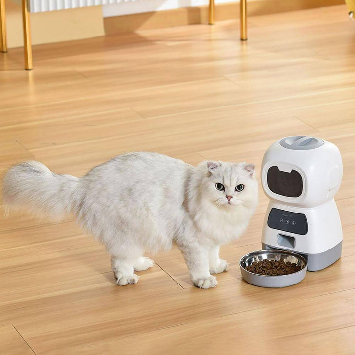 Modern automatisk kattmatare med inspelningsfunktion. Säkerställer regelbunden matning för din katt.