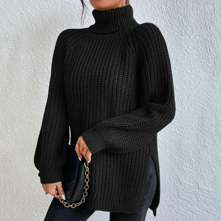 Elegant turtleneck tröja för kvinnor. Långärmad och bekväm, en stilren detalj i höstgarderoben.