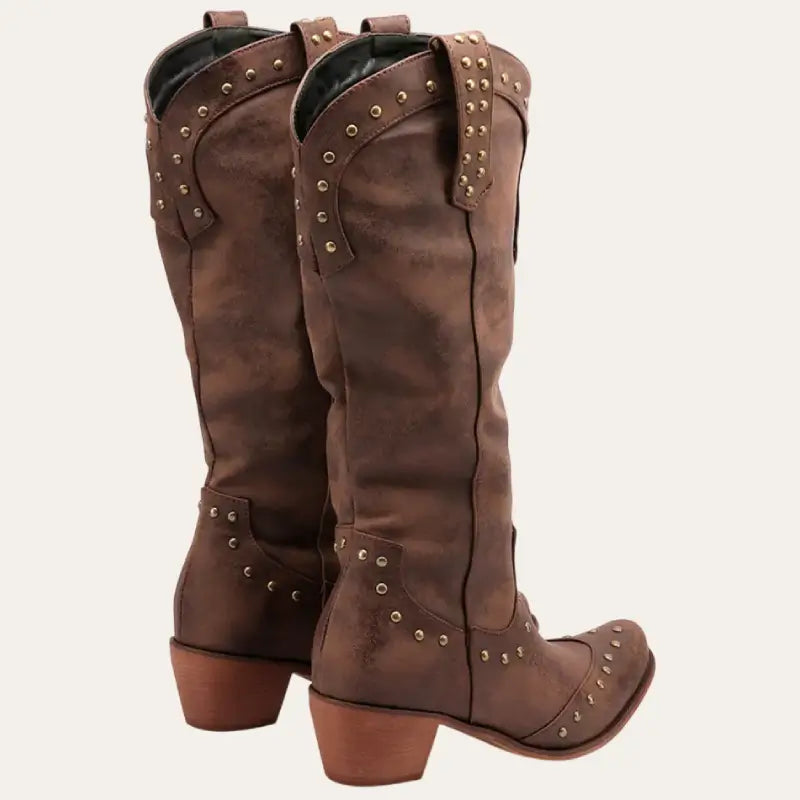 Stilrena dam cowboystövlar för country- och dansentusiaster. Mode cowboystövlar med spetsig tå.