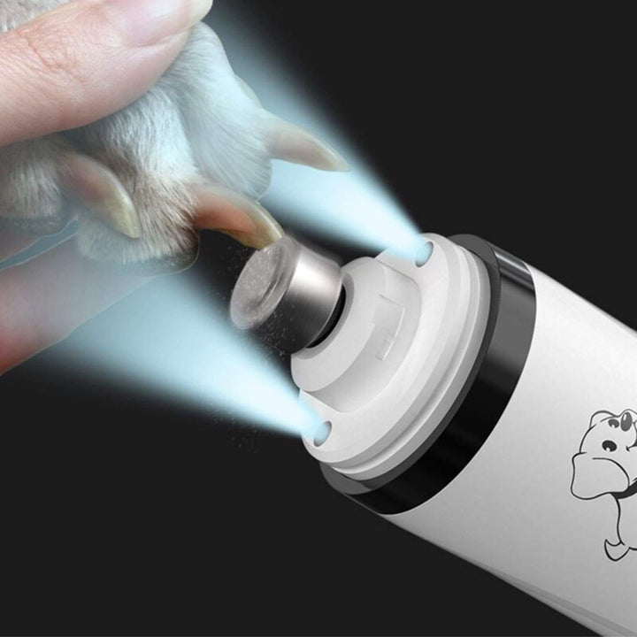 Husdjursägare använder elektrisk nagelklippare med LED på en hunds tass, säker trimning