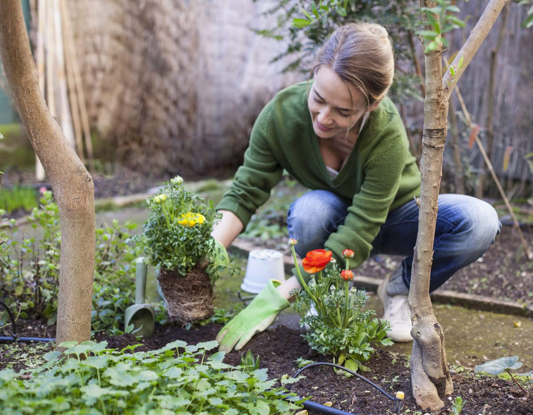 Liten flaska 30 ml med effektiv växtnäring för maximal frodig tillväxt och blomningskraft.