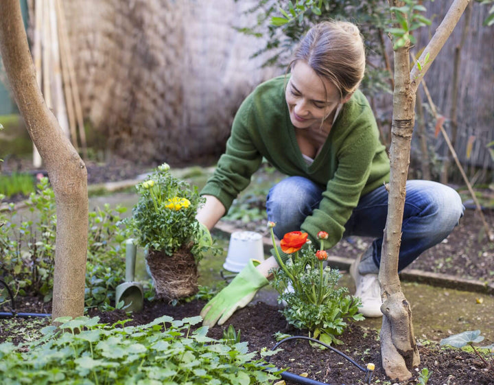 Liten flaska 30 ml med effektiv växtnäring för maximal frodig tillväxt och blomningskraft.