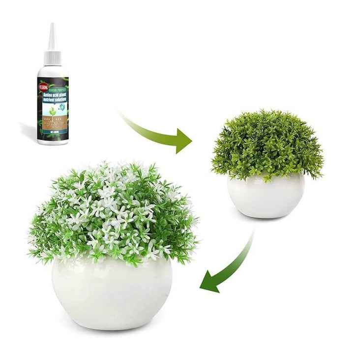Växtnäring 30 ml för inomhusväxter & hydroponik. Stimulerar tillväxt, rotsystem & blomning.