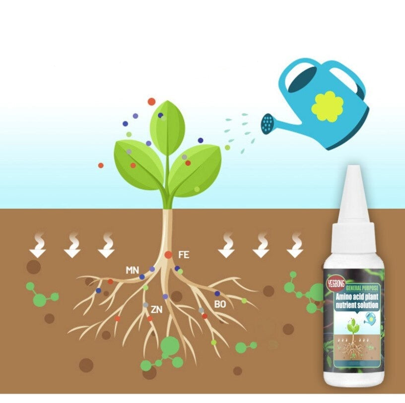 30 ml flaska med koncentrerad växtnäring för friska växter, förbättrad blomning & rotsystem.