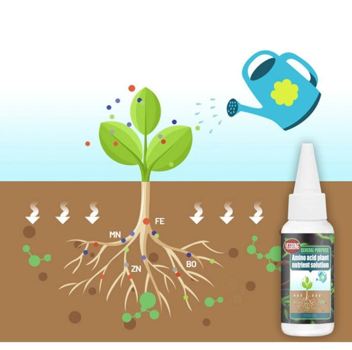 30 ml flaska med koncentrerad växtnäring för friska växter, förbättrad blomning & rotsystem.