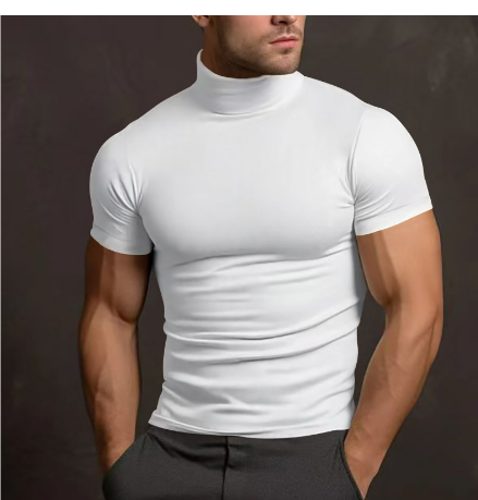 Stilren kortärmad turtleneck herrtröja. Mångsidigt plagg med modern design, perfekt för en bekväm och elegant look.
