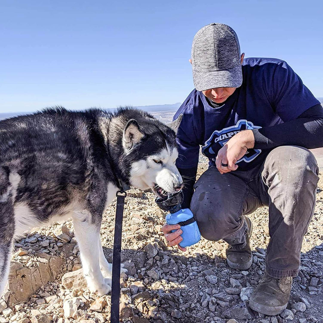 Enkel att använda drickflaska för hund, säkerställer rent vatten för ditt husdjur var ni än är.