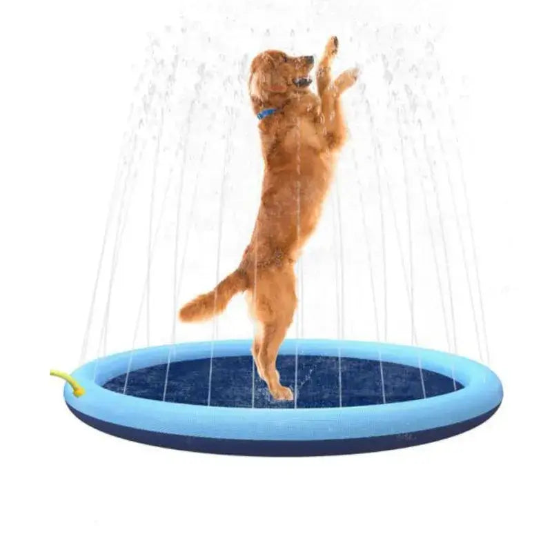 Portabel, hopfällbar PVC husdjurspool. Svalkande badpool för hund och katt med rolig sprayfunktion.