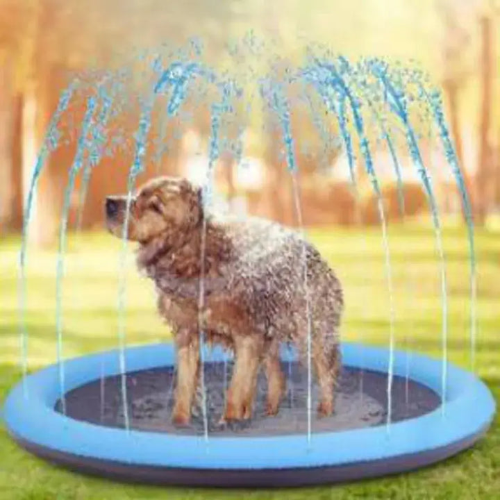 Svalkande hundpool med spray för sommarlek. Perfekt för djur som älskar vattenlek utomhus.