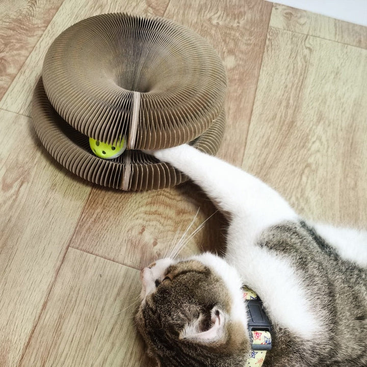 Katt leker på interaktiv kattskrapa och kattleksak. Främjar kattunderhållning och aktivitet.