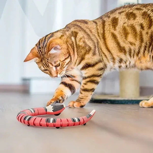 Katt som leker med interaktiv ormleksak; en USB-laddad smartleksak som stimulerar kattens naturliga jakt.