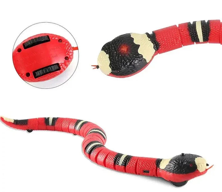 Katt leker nyfiket med den rörliga interaktiva ormleksaken. En USB-laddad smartleksak med rörelsesensor.