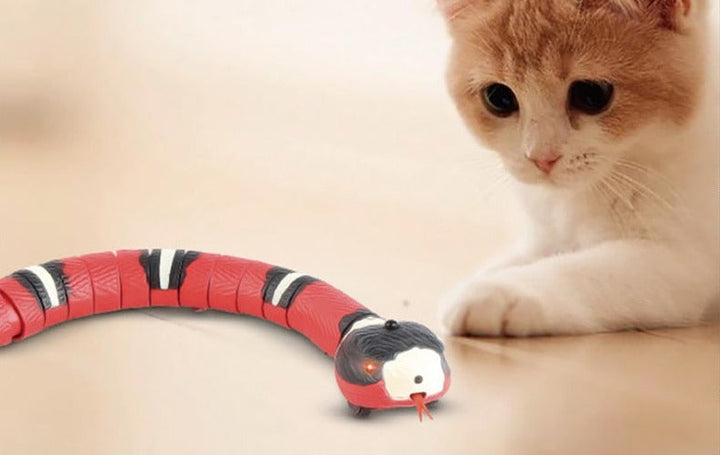 USB-laddad interaktiv ormleksak för katt. Smartleksak med rörelsesensor som håller katten aktiv och underhållen.