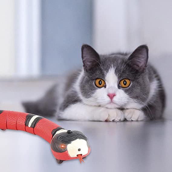 Stimulerande interaktiv ormleksak för katt, perfekt för lek och motion med inbyggd sensor.