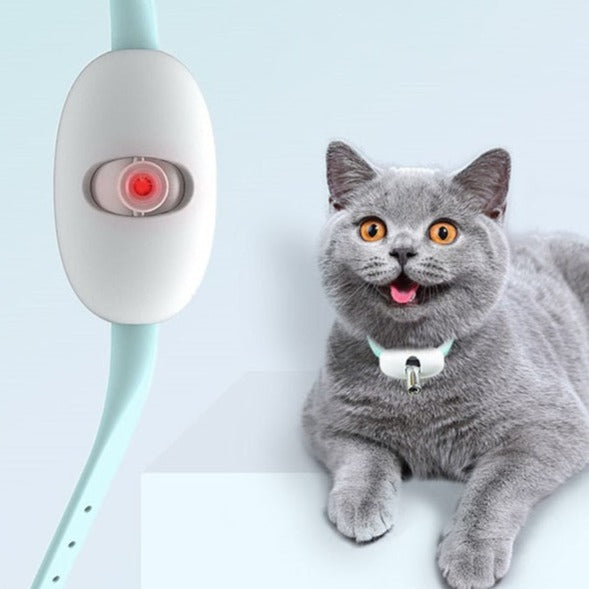 Interaktivt laser katthalsband för lek & stimulans. Perfekt uppladdningsbar kattleksak för din katt.