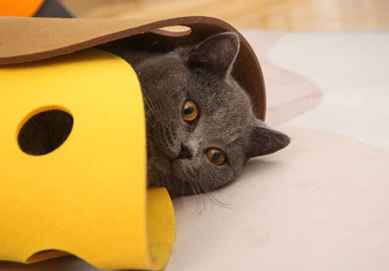 Praktisk kattfilttunnel, enkel att flytta. Idealisk för kattens dagliga lek och ostörda vilostunder.