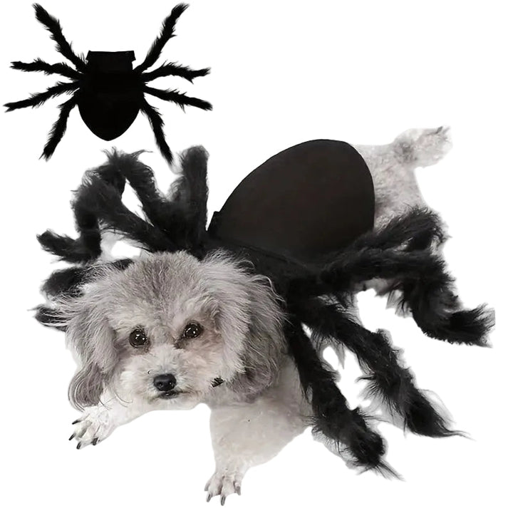 Läskig spindel hundkostym för Halloween. Svart dräkt med åtta lurviga ben för en skrämmande söt hund.