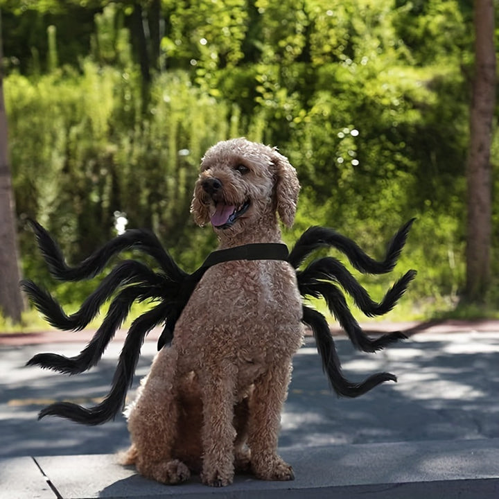 Rolig spindeldräkt till hund, perfekt för Halloweenfesten. Förvandla din hund till en åttabent spindel.