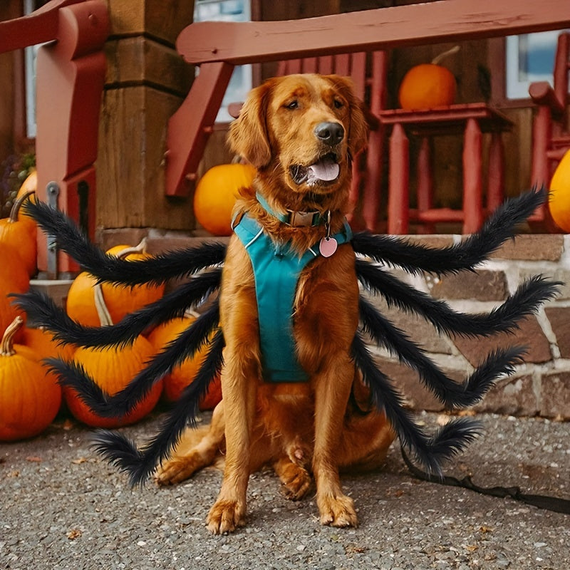 Halloween spindeldräkt för hund. En läskig utklädnad som gör din lurviga vän till en festlig skrämsel.