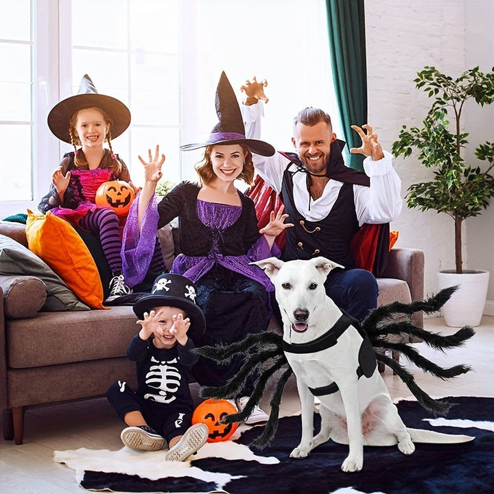 Unik husdjurskostym: spindeldräkt för hund. Svart djurkläder för en oförglömlig Halloween-utklädnad.