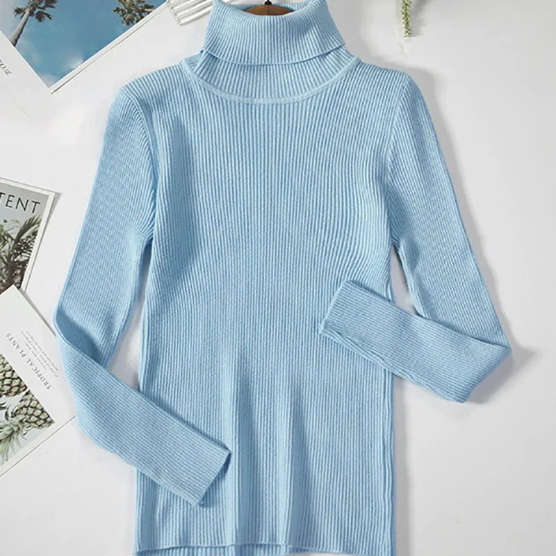 Stilren damtröja för hösten. Mjuk stickad pullover med turtleneck, perfekt för vardagslook.