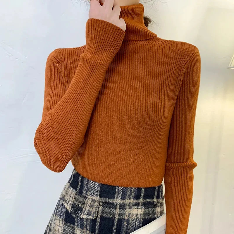 Damtröja med turtleneck. Stilren stickad pullover, en storlek, för höstmode och vinterkläder.