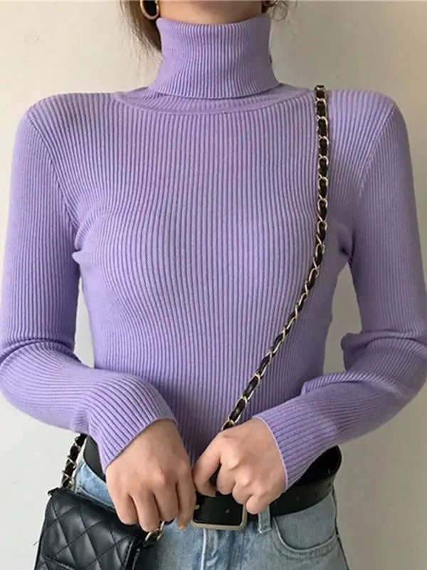Damtröja med mjuk turtleneck. Stilren pullover, en storlek, för höstmode och vardagslook.