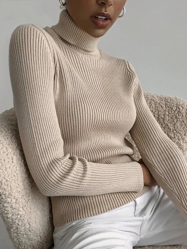 Elegant turtleneck för kvinnor. Mjuk och varm stickad tröja, idealisk för höst/vinter och komfort.
