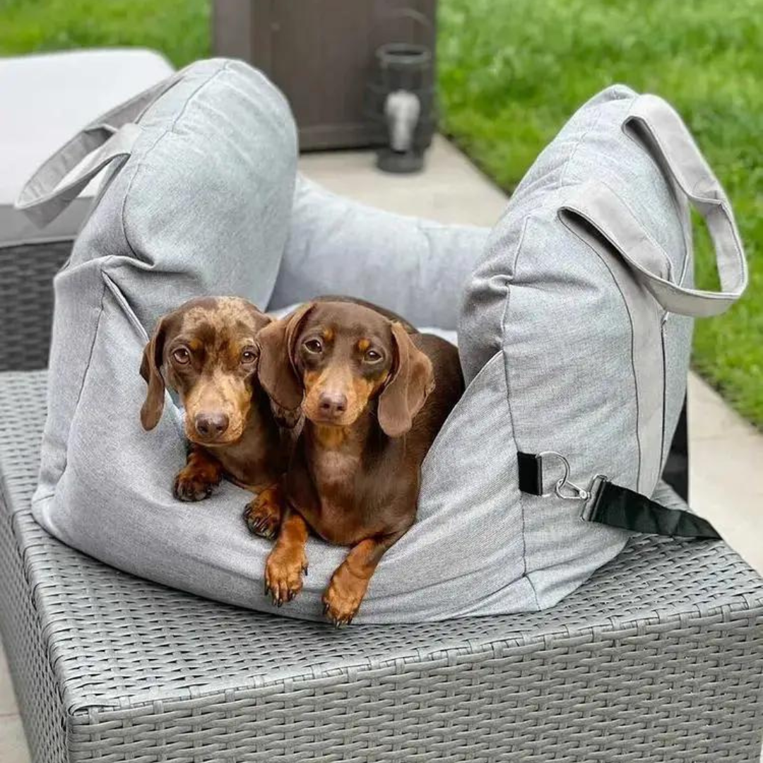 Ljusgrå portabel hundstol för bil. Säkerhetssele för hundar, enkel att montera för bekväma bilresor.