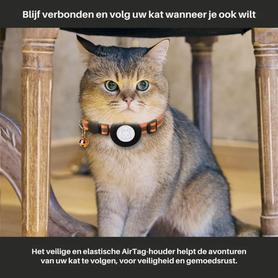 Justerbart GPS-halsband för katt med snabbkoppling och reflekterande nylon. Optimal säkerhet.