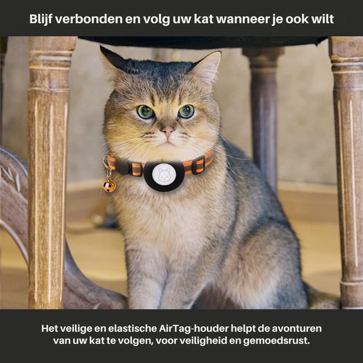 Justerbart GPS-halsband för katt med snabbkoppling och reflekterande nylon. Optimal säkerhet.