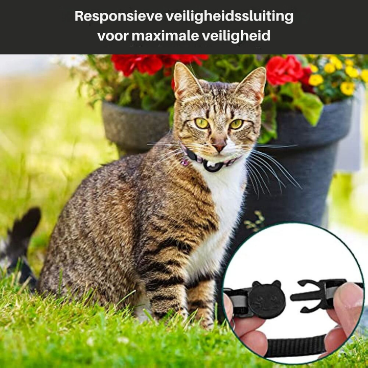 Spårningshalsband för katt med reflekterande detaljer. Säkerställer att din katt hittas och syns.