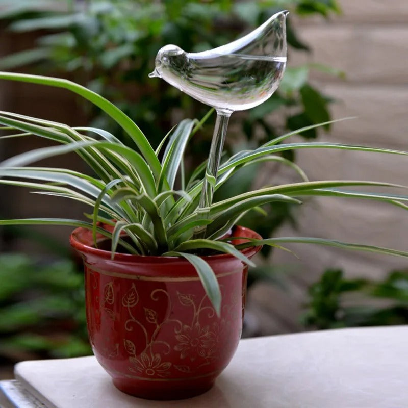 Självvattnande glas för krukväxter. Elegant glaskula som ger smart bevattning för dina inomhusväxter.