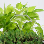 Estrella