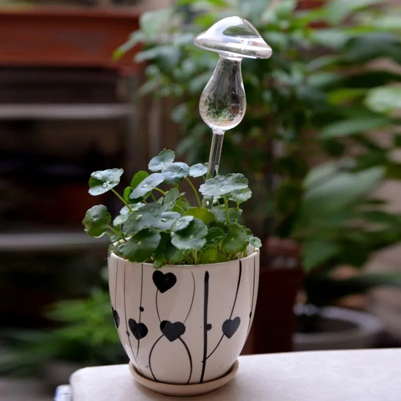 Dekorativt och funktionellt självvattnande glas för inomhusväxter. Perfekt för automatisk bevattning.