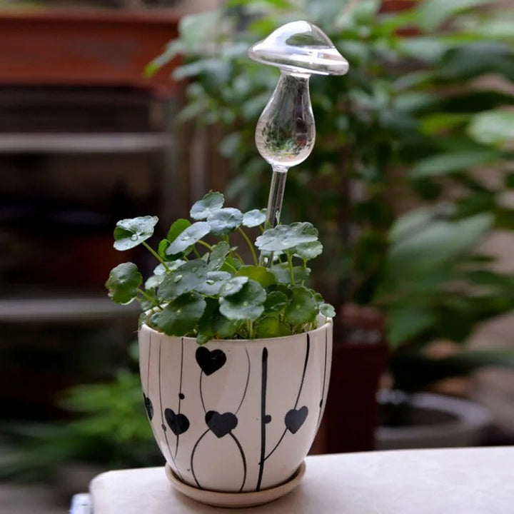 Dekorativt och funktionellt självvattnande glas för inomhusväxter. Perfekt för automatisk bevattning.