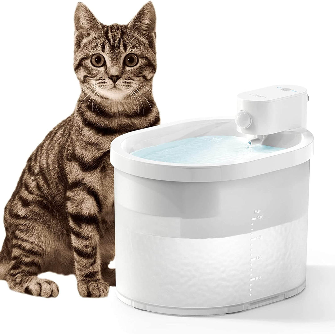 Smart sensor kattvattenfontän som ger filtrerat vatten till din katt, säkerställer god hydrering.