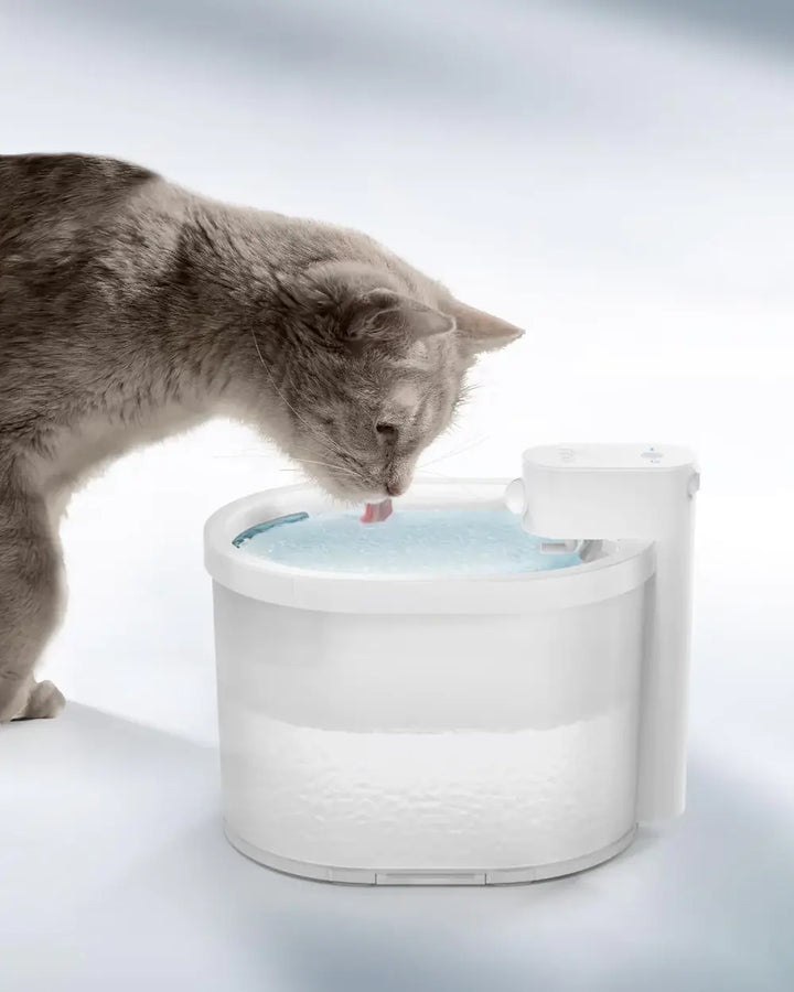 Trådlös kattvattenfontän med smart sensor, ger enkelt tillgång till filtrerat vatten för din katt.