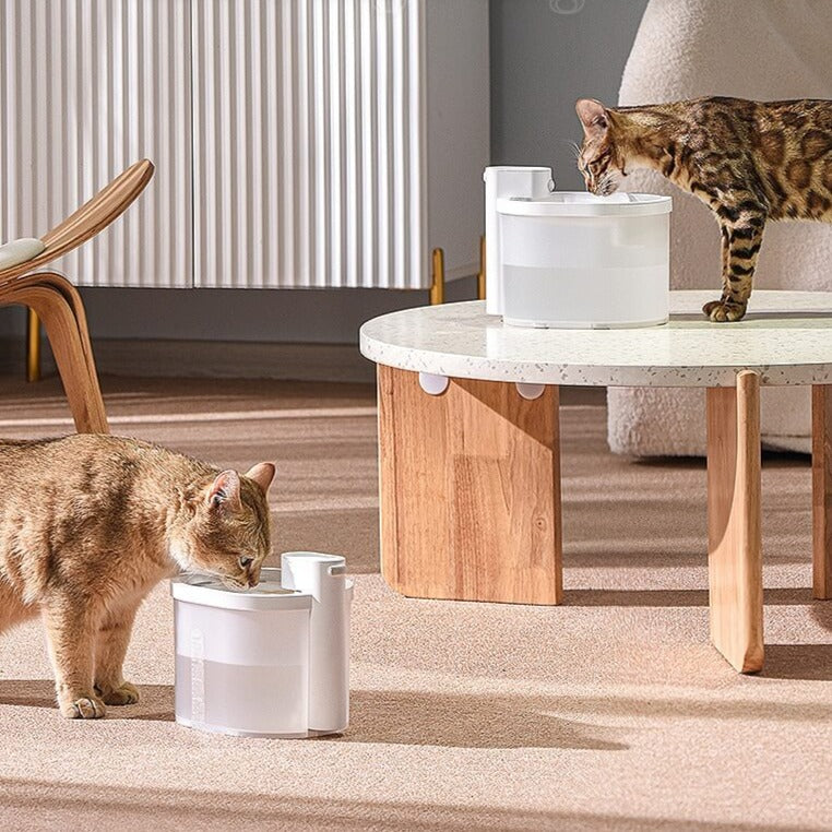 Kattvattenautomat med rörelsesensor, levererar friskt och rent vatten för optimal hydrering av din katt.