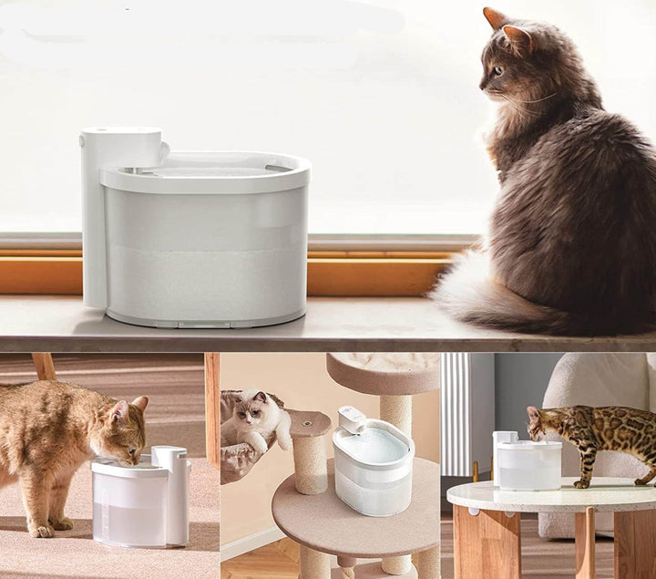 Filtrerande kattvattenfontän med smart sensor, säkerställer rent dricksvatten för din katts hydrering.