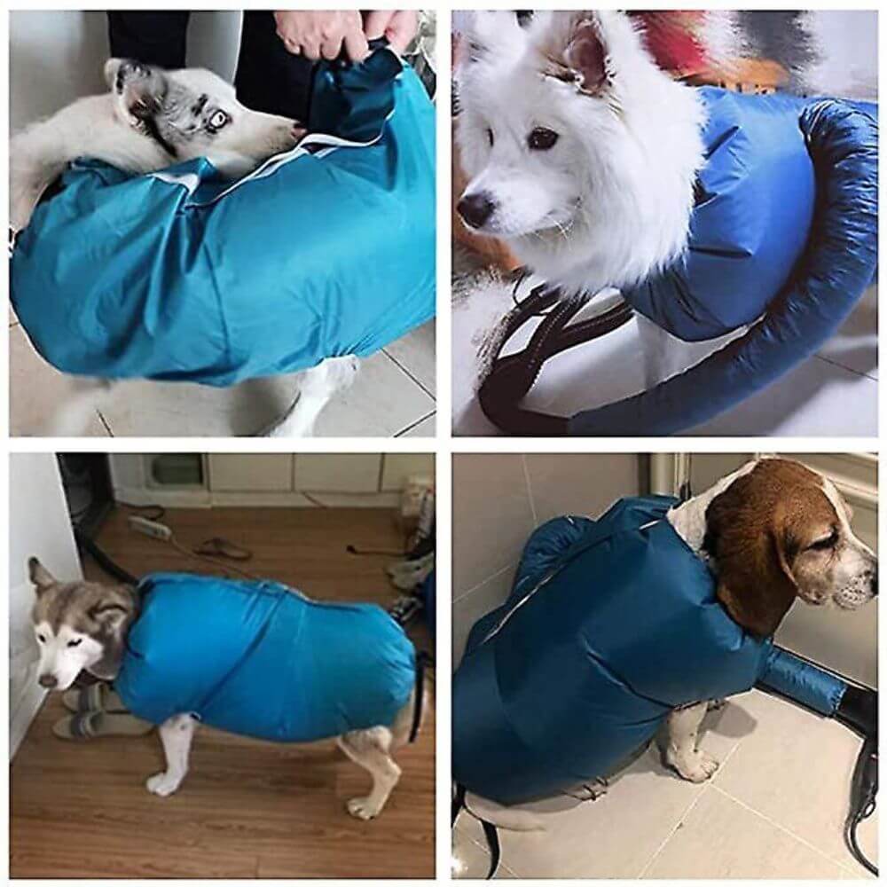 Komplett djurvård med snabbtorkande torkpåse. Effektiv grooming för hund & katt. Torra tassar & päls.