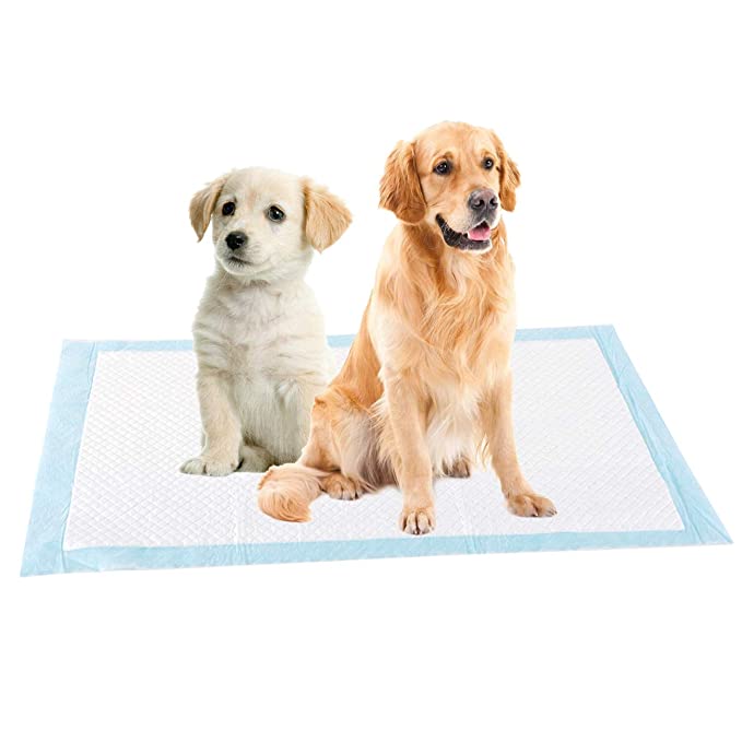 Superabsorberande hundkissdynor för effektiv potträning av valpar. Håller ditt hem rent och torrt.