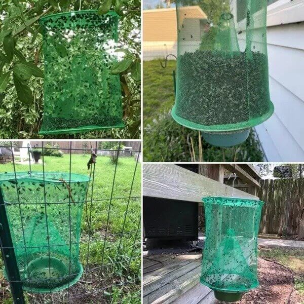 Nära bild av flugfällans inre konstruktion, designad för att effektivt fånga insekter.