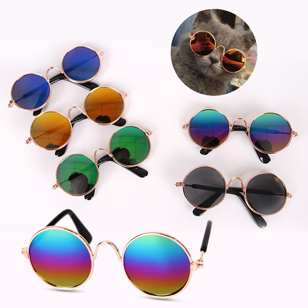 Charmiga retro solglasögon för katter. Stilren kattmodeaccessoar, perfekt fotorekvisita för snygga katter.