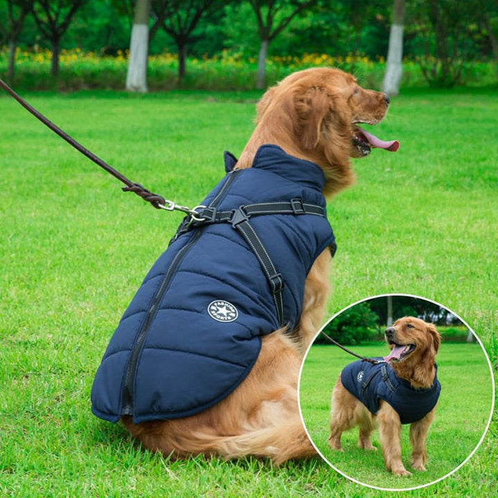 Reflexjacka för hund, ger trygghet under mörka vinterpromenader. Vattentät, varm hundutrustning.